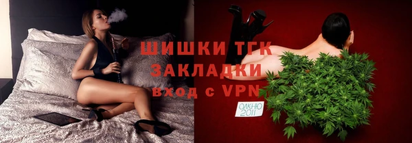 apvp Бородино