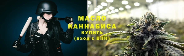 apvp Бородино