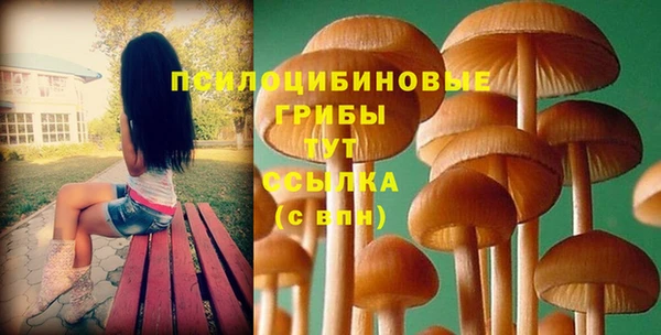 MESCALINE Богородск