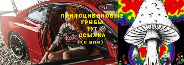 apvp Бородино