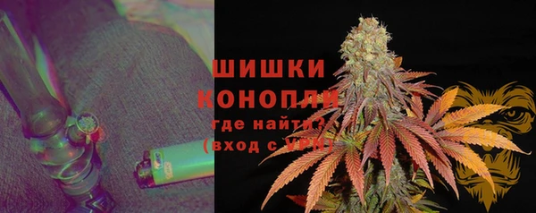 apvp Бородино