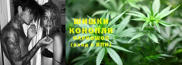 тгк Богданович