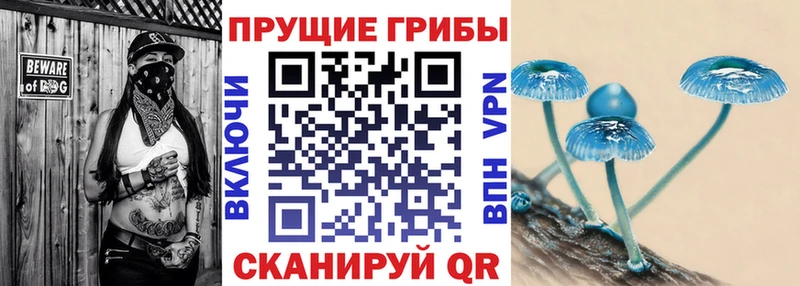 Галлюциногенные грибы Magic Shrooms  Рыбинск 